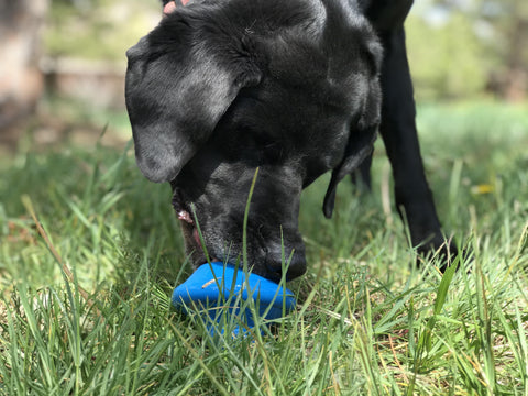 Durable Flying Saucer Dog Chew Toy – Interactive Treat Dispenser | Made in USA SodaPup  Rubber Dog Toys