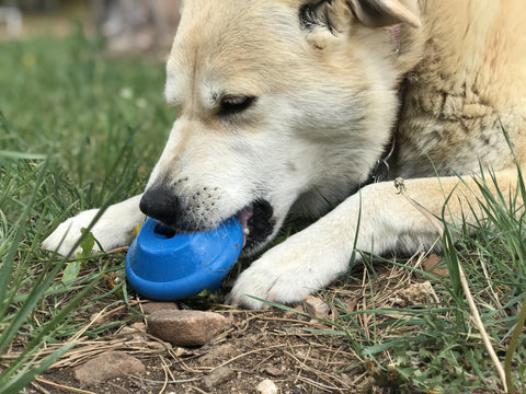 Durable Flying Saucer Dog Chew Toy – Interactive Treat Dispenser | Made in USA SodaPup  Rubber Dog Toys