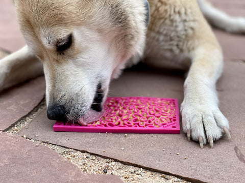 Flower Power Slow Feeder Lick Mat – Calming Pet Enrichment Toy | Made in USA SodaPup  EMAT